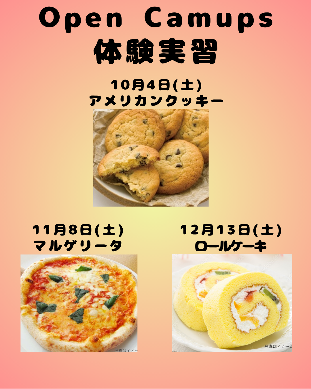 Open Camups 体験実習のコピー.png